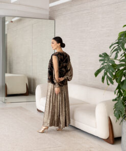 Alternative view of draa vest